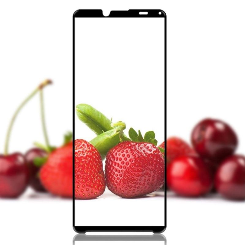 Sony Xperia 10 Iv Skärmskydd Av Härdat Glas I Full Storlek (2 Delar)